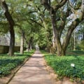 Discovering the Enchanting City of Aiken, South Carolina