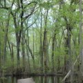 Exploring Aiken: Best Outdoor Activities for Nature Lovers