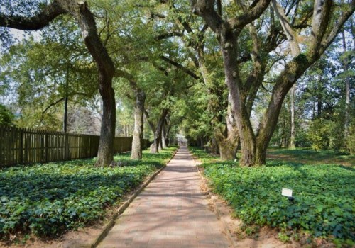 Discovering the Enchanting City of Aiken, South Carolina